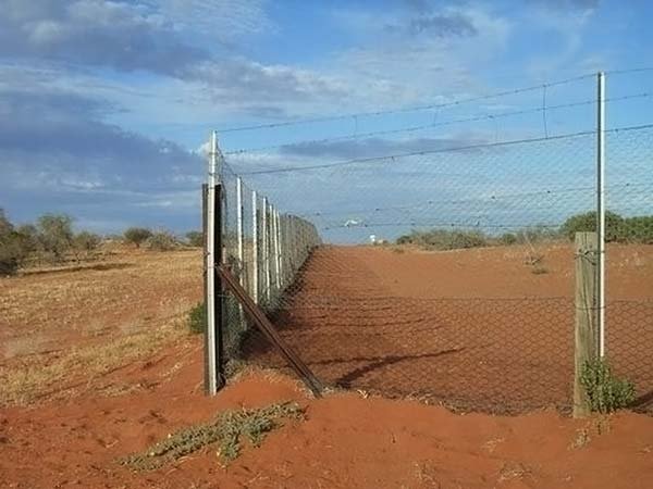 The longest fence in the world, 5614 km, Australia