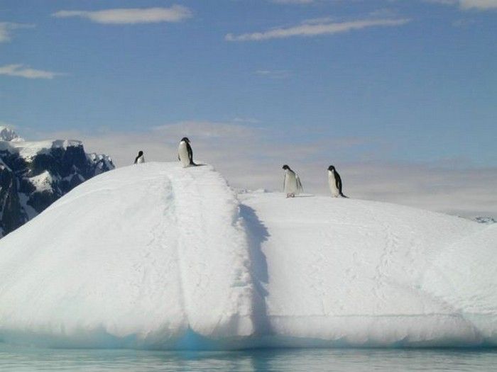 iceberg