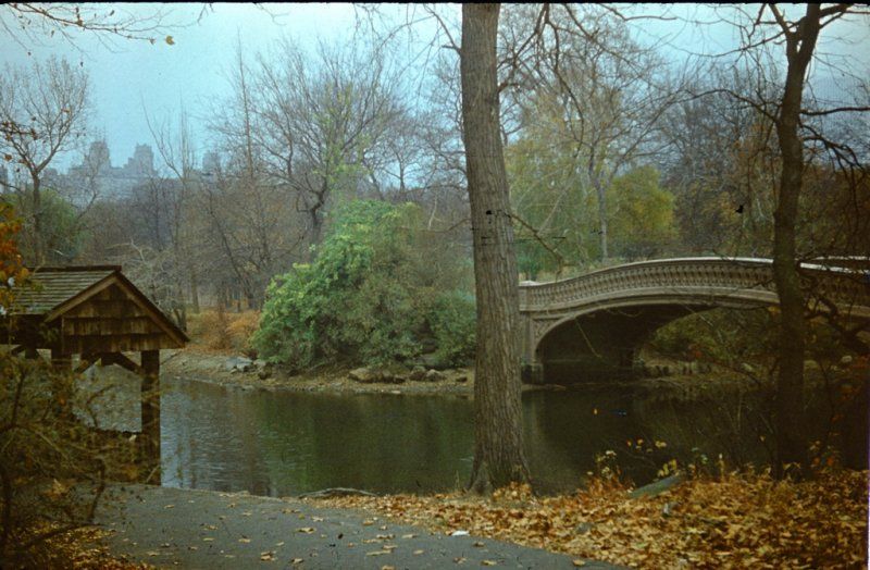 History: New York City, 1978, United States