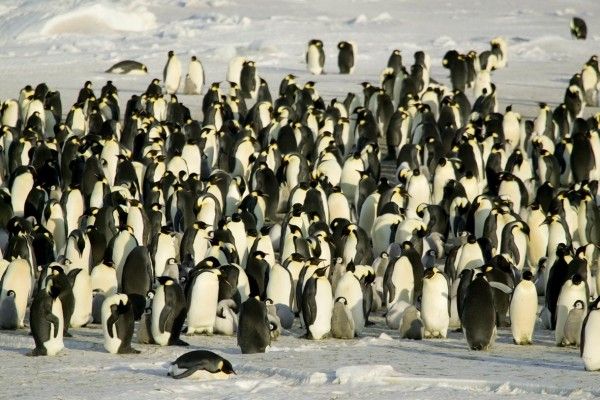 Antarctic Plateau, Antarctica