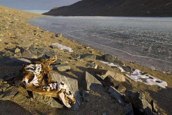 Antarctic Plateau, Antarctica