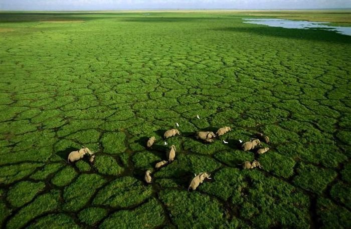 bird's-eye view aerial landscape photography