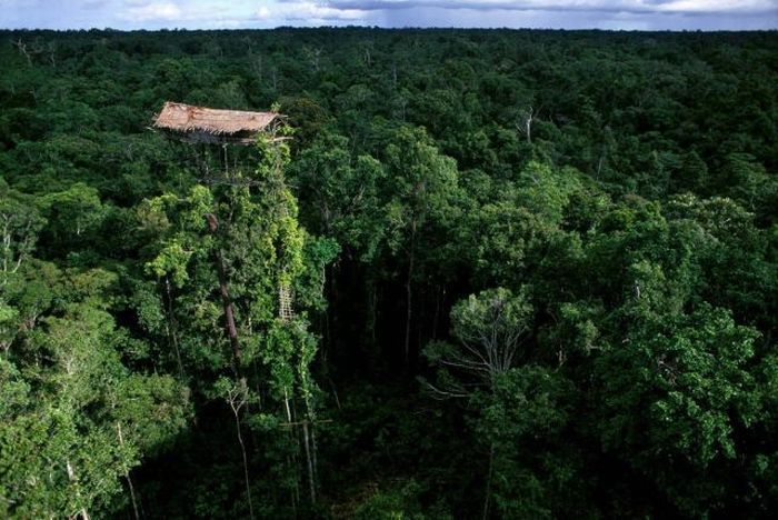 bird's-eye view aerial landscape photography