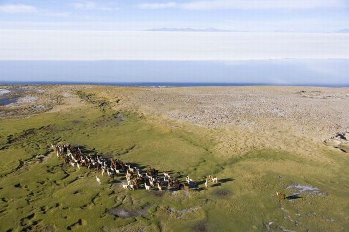 bird's-eye view aerial landscape photography