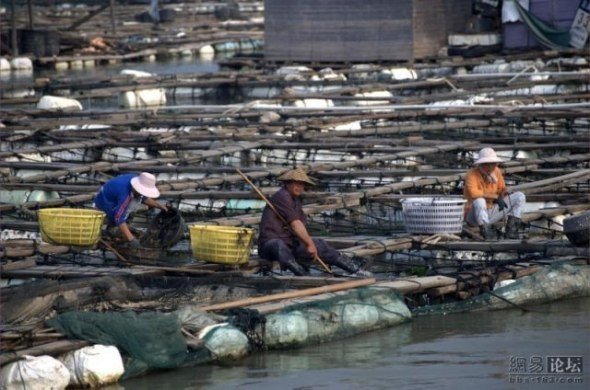 Floating village, China