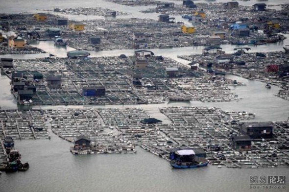 Floating village, China