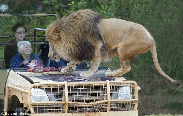 ZOO in Australia