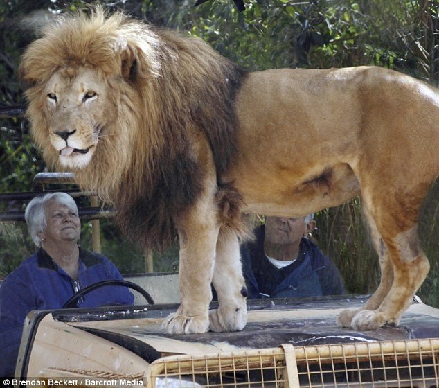 ZOO in Australia