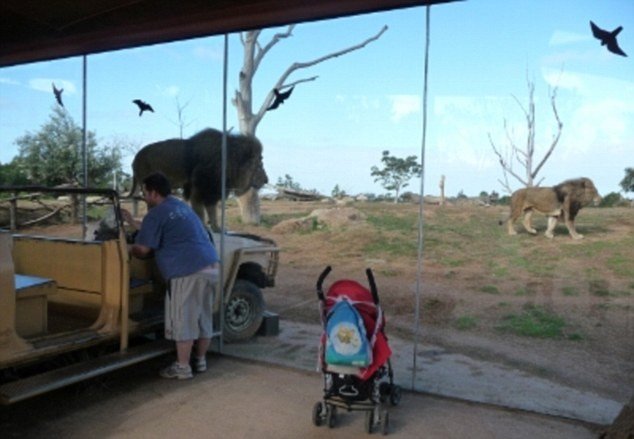 ZOO in Australia