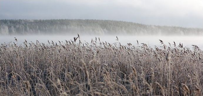 winter photography