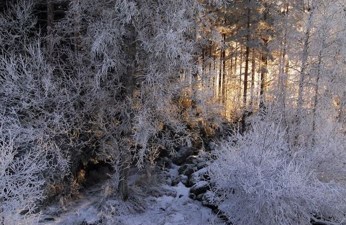winter photography