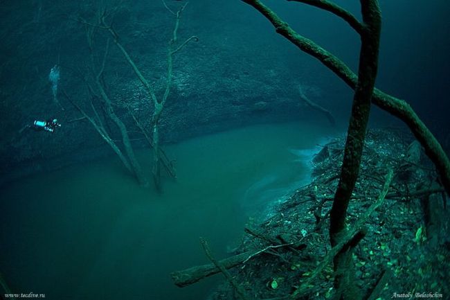 Underwater river, Cenote Angelita, Mexico