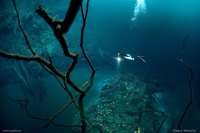 Underwater river, Cenote Angelita, Mexico