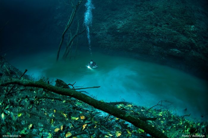 Underwater river, Cenote Angelita, Mexico