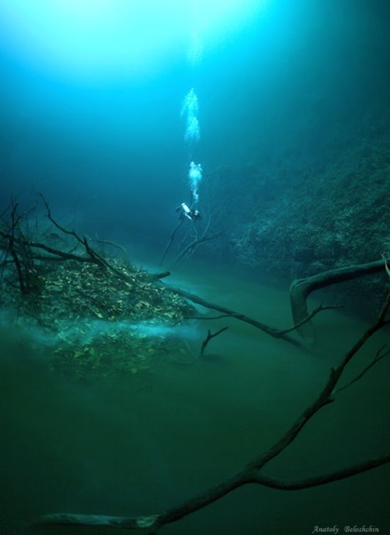 Underwater river, Cenote Angelita, Mexico