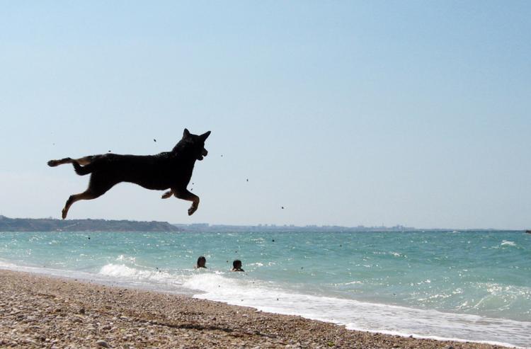 photos of beaches and shorelines