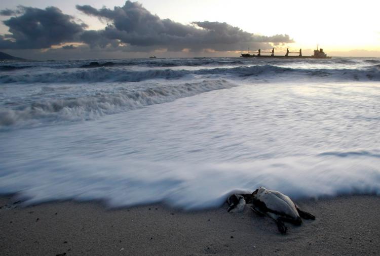 photos of beaches and shorelines