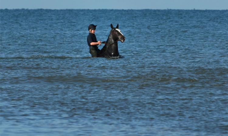 photos of beaches and shorelines