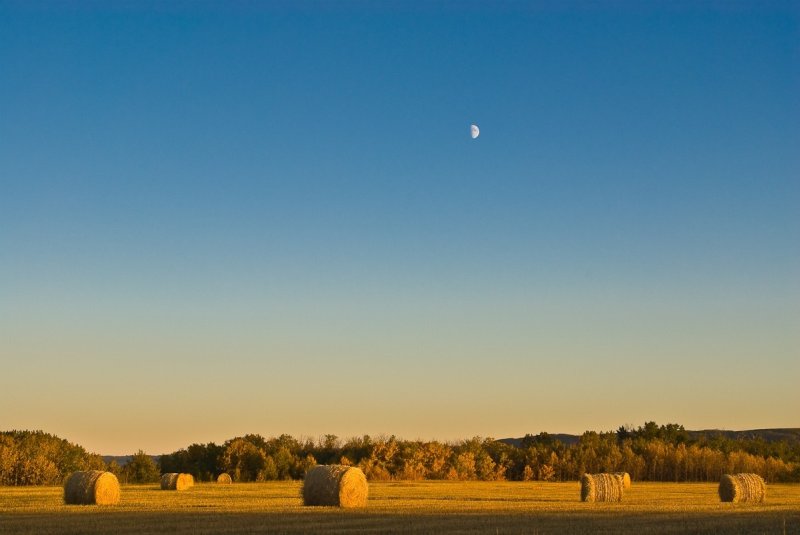 Landscape photography by Neil Joules