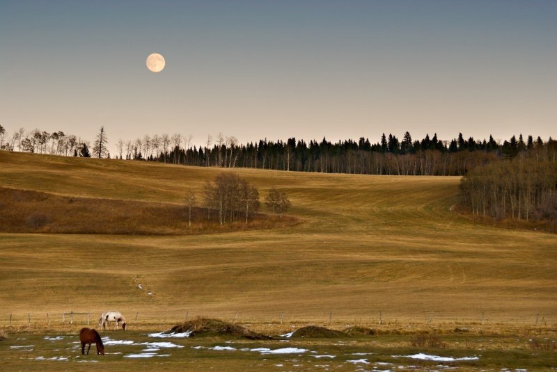 Landscape photography by Neil Joules