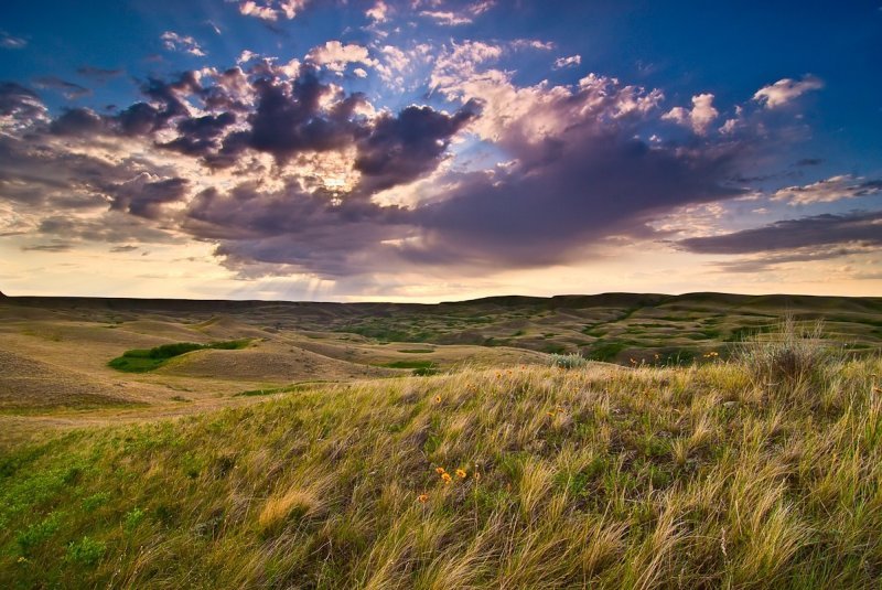Landscape photography by Neil Joules