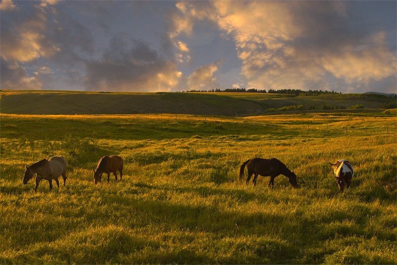 Landscape photography by Neil Joules