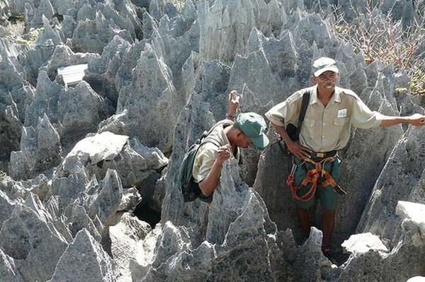 Stone Forest in Madagascar, Manambulu - Bemaraha