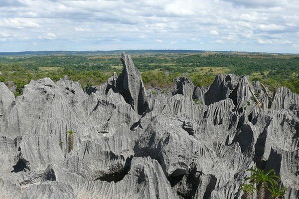 Stone Forest in Madagascar, Manambulu - Bemaraha