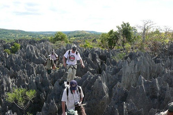 Stone Forest in Madagascar, Manambulu - Bemaraha