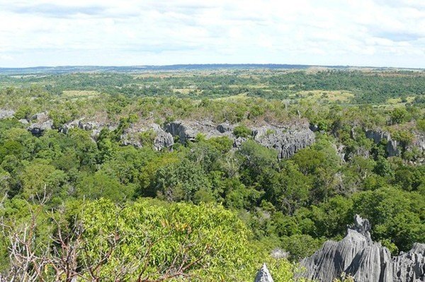 Stone Forest in Madagascar, Manambulu - Bemaraha