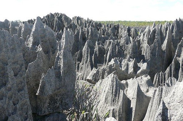 Stone Forest in Madagascar, Manambulu - Bemaraha