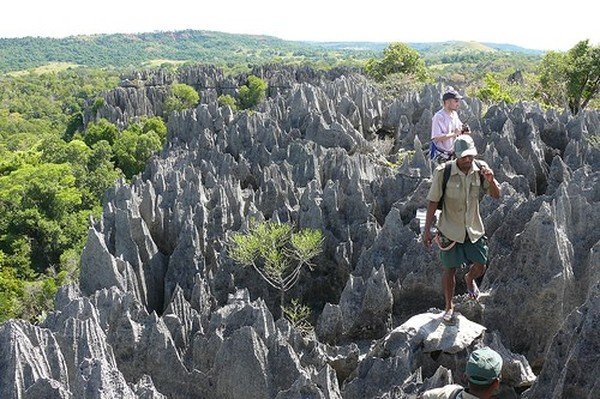 Stone Forest in Madagascar, Manambulu - Bemaraha