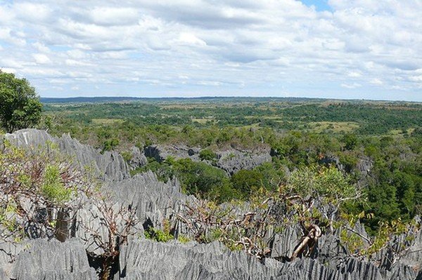 Stone Forest in Madagascar, Manambulu - Bemaraha