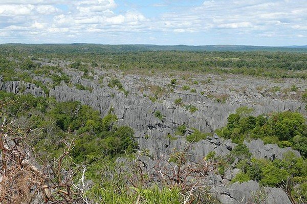 Stone Forest in Madagascar, Manambulu - Bemaraha