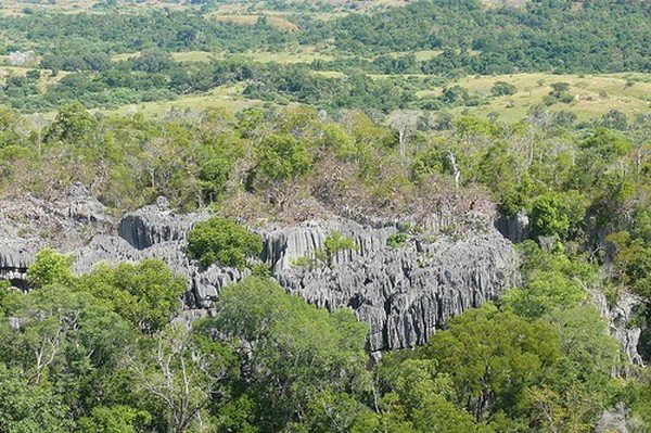 Stone Forest in Madagascar, Manambulu - Bemaraha