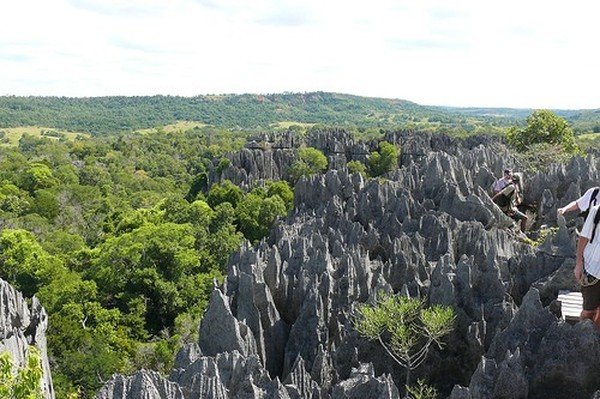 Stone Forest in Madagascar, Manambulu - Bemaraha