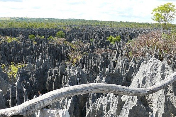 Stone Forest in Madagascar, Manambulu - Bemaraha