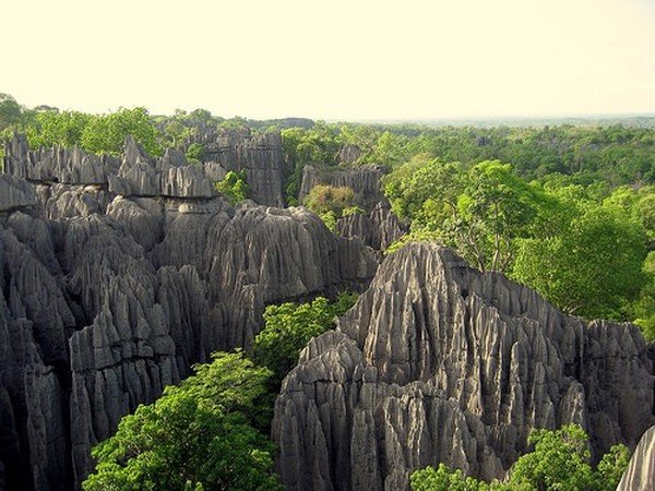 Stone Forest in Madagascar, Manambulu - Bemaraha