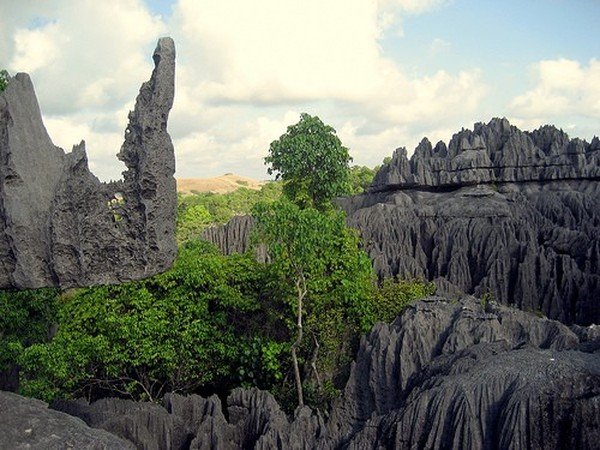 Stone Forest in Madagascar, Manambulu - Bemaraha