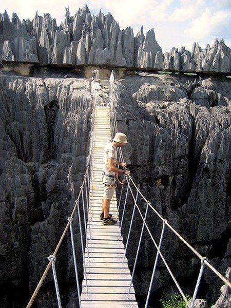 Stone Forest in Madagascar, Manambulu - Bemaraha