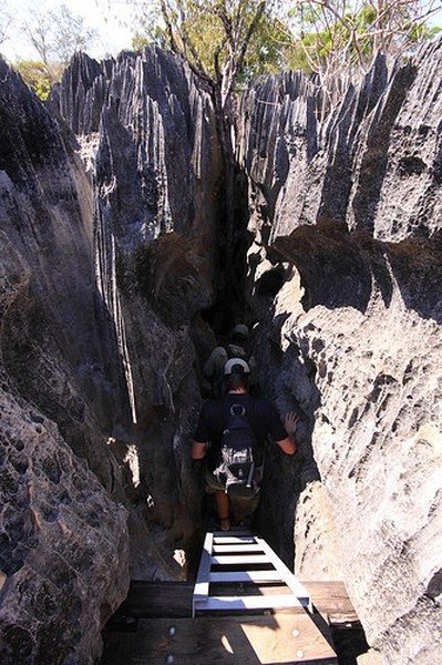 Stone Forest in Madagascar, Manambulu - Bemaraha