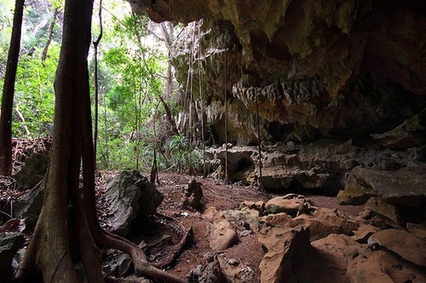 Stone Forest in Madagascar, Manambulu - Bemaraha