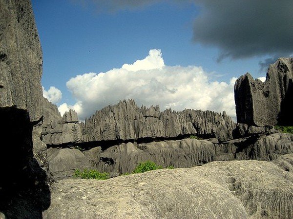 Stone Forest in Madagascar, Manambulu - Bemaraha