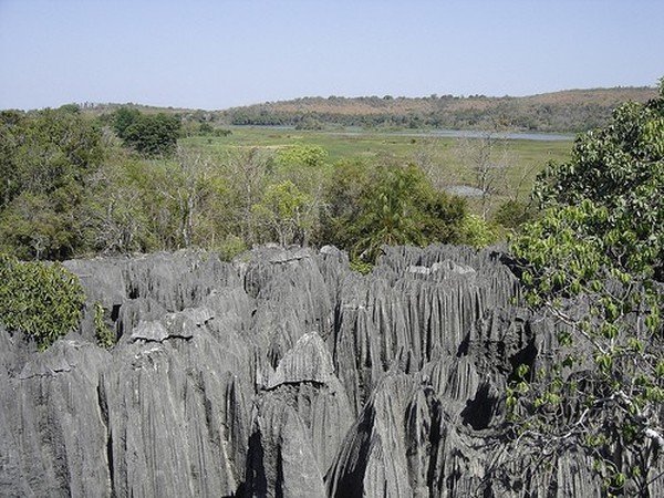 Stone Forest in Madagascar, Manambulu - Bemaraha