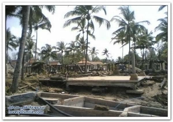 Hotels before and after Tsunami