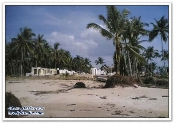 Hotels before and after Tsunami