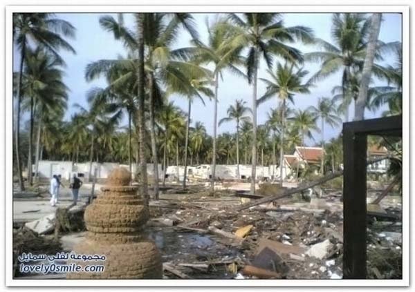 Hotels before and after Tsunami