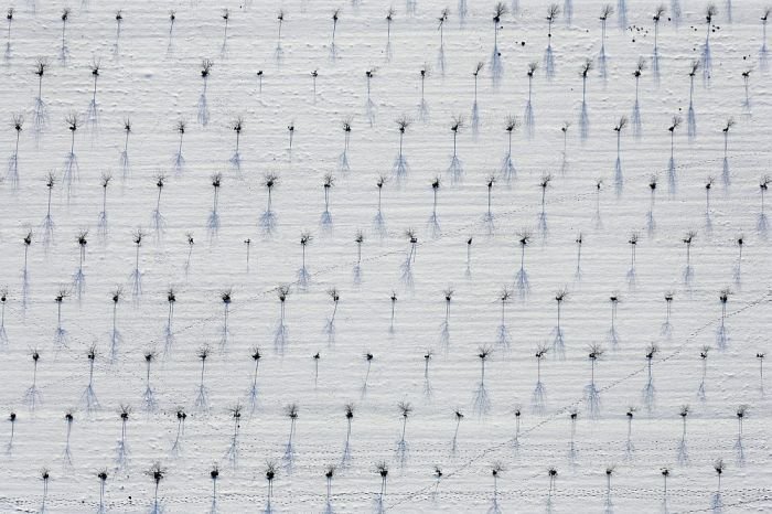 World from top, by Klaus Lerdorf