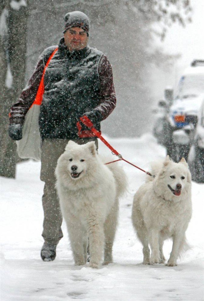 America snowstorm, Untied States