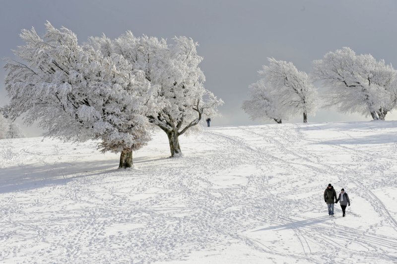 winter photography